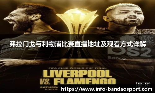 弗拉门戈与利物浦比赛直播地址及观看方式详解