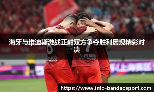 海牙与维迪斯激战正酣双方争夺胜利展现精彩对决