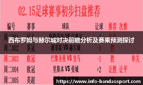 西布罗姆与赫尔城对决前瞻分析及赛果预测探讨