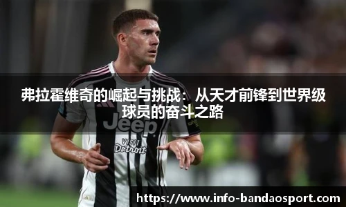 弗拉霍维奇的崛起与挑战:从天才前锋到世界级球员的奋斗之路